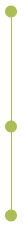 cicle-panjang